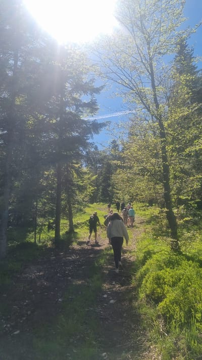 The image depicts a group of people walking along a wooded trail, likely in a forest. The sun shines brightly through the trees, creating lens flare on the left side of the frame. The trail appears to be narrow, with grass and foliage on either side. The people are casually dressed and appear to be hiking. There is a contrail in the blue sky above the trees. The image is labeled as being taken in Dedovo, Bulgaria.