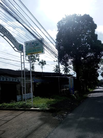 This image depicts an outdoor street scene under a bright, partly cloudy sky. Numerous black utility lines crisscross the upper frame. On the left, an arched white sign displays partial Indonesian text, including "Cianjur, Jawa Barat 43292". Adjacent to it, a rectangular green and white sign points right, reading "Sekolah Alam" (Nature School). Behind these signs, obscured single-story structures with corrugated roofs are visible in shadow, alongside a patch of green grass. A large, dark-foliaged tree dominates the right midground, with several palm trees visible further back. A paved road extends from the bottom right into the background, where a single, distant figure on a motorcycle is faintly visible. The visible signage indicates the location is Cianjur, West Java, Indonesia, which contradicts the specified location of Domphoog_Dungkarchhoeling, Bhutan.