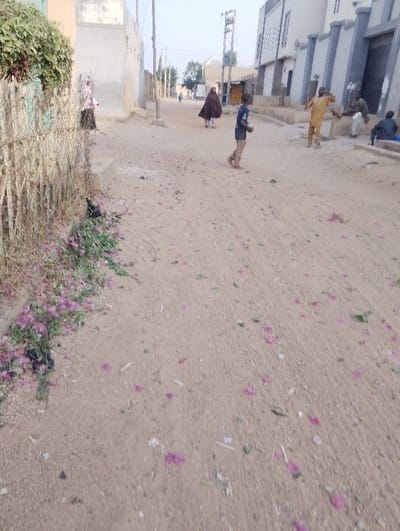 A sunlit, sandy road stretches into the distance. Several individuals are seen: one in a brown robe, a boy in a blue shirt, and others gathered near buildings. The road's surface is scattered with pink flower petals. A fence covered in greenery borders the road on the left, with more pink flowers at its base. Buildings and utility poles line the street.