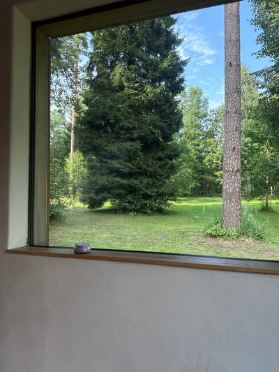 A view through a large window reveals a tranquil outdoor scene of lush greenery and a clear blue sky. In the foreground, a wooden windowsill features a small, purple glass jar with a lid. The window frames a spacious lawn bordered by various trees, including a tall, slender pine tree to the right and a large, dense evergreen tree to the left. Beyond these, a dense forest stretches into the distance. The sky above is a bright blue, dotted with wispy white clouds, suggesting a pleasant day. This scene is located in Jaunbagumi, Latvia.