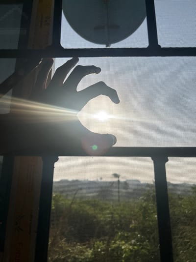 The scene depicts an outdoor landscape viewed through a gridded window with a fine mesh screen, from an indoor perspective, located in Debasco, Nigeria. A human left hand, silhouetted against a bright light, is centrally positioned in the mid-left, with fingers curled in a grasping or claw-like shape. A low-lying, intense light source, identified as the sun, is partially obscured by the hand, generating a strong lens flare and backlighting the entire composition. The outdoor environment consists of green foliage and vegetation in the immediate background, receding into hazy, undulating hills in the distance. A distinct silhouette of a palm-like tree is visible against the horizon line to the right. Indoors, a vertical, light-colored object, appearing to be a book or folder with printed text including the word "FOCUS," is partially visible along the left edge of the window frame. In the upper-center interior, a faint, light-colored, circular object is discernible through the mesh.