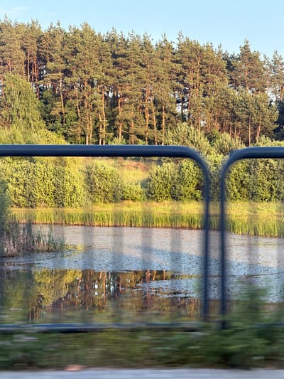 The media file shows a reflective surface, likely a window or a body of water, with a mirrored image of a pine forest and a grassy embankment. The reflection is distorted and fractured by a dark, curved object that runs vertically through the frame. On the left side of the frame, the actual scene consists of a dense pine forest with tall trees and a clear blue sky above. The trees are mostly green with some brown trunks and branches visible. On the right side of the frame, the reflection shows the same pine forest, but it is overlaid with the reflection of the grassy embankment and water. The water appears to be a calm lake or river, with ripples and reflections of the surrounding trees. The reflection is broken into segments by the dark, curved object, creating a fragmented and abstract image. The time of day appears to be late afternoon or early evening, as the sunlight casts long shadows and the sky is a pale blue. The weather is clear and sunny. The scene is set in a natural, outdoor environment. There is no visible text in the media file.