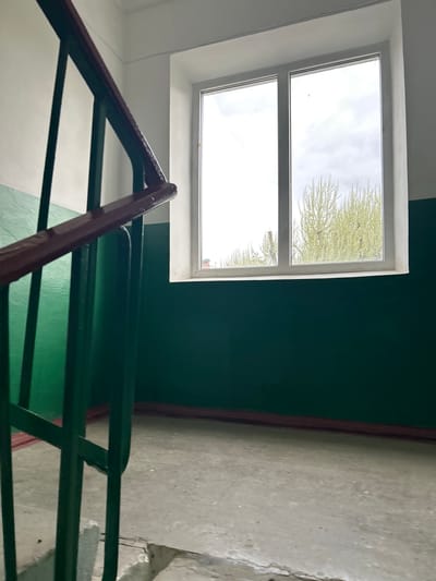 The image, taken in Dmitrievskaya, Russia, presents an upward-looking view within what appears to be an interior stairwell or hallway of a building. A prominent rectangular window occupies the upper left portion of the frame, showcasing an overcast or cloudy daytime sky and the light green, wispy foliage of a tree, indicative of spring or early summer. The window frame is white and appears slightly aged.

Below the window and extending across the upper right, a wall is painted a deep, dark green. To the left, a contrasting white wall is visible. In the foreground, a robust metal railing system diagonally traverses the lower half of the image. The top handrail is painted a dark maroon or brown, while the horizontal and diagonal support bars beneath it are a dark green, harmonizing with the wall color. To the right, rough, textured concrete steps or flooring are partially visible, showing signs of wear and age. A thin, dark brown border separates the dark green wall from the concrete surface. The overall impression is that of a functional, utilitarian interior, potentially in an older apartment block or public building, characterized by its simple color scheme and durable materials. No discernible text is visible within the image.