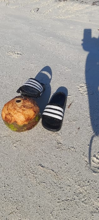 The scene depicts a sandy ground environment, characteristic of a beach, located in the city of Ziwa La Ng'ombe ward, Kenya. A partially husked coconut rests on its side in the mid-left portion of the frame; its upper section is dry and brown, while the lower part retains some green husk. A small, circular opening is visible at the top of the coconut. Adjacent to the coconut, two black slide sandals with three white horizontal stripes each are placed on the sand. One sandal lies flat, while the other is slightly inverted. Strong shadows from the coconut and sandals are cast on the sand, indicating direct overhead sunlight. On the right side of the image, a distinct shadow of a person holding a smartphone is visible, revealing the photographer's presence and the device used for capture. The sand is light-colored, fine-grained, and shows subtle textures and depressions, with minimal scattered organic debris. No other subjects or structures are present.
