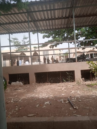 This image depicts an outdoor scene in Dandagoro, Nigeria, captured from beneath a metal-framed structure with a corrugated roof. In the foreground, the ground is bare earth, heavily littered with numerous fragments of wood, organic debris, and possibly animal bones. Below the partial view of the foreground structure, a raised concrete barrier runs horizontally, featuring multiple rectangular openings covered with chain-link or wire mesh.
Beyond this barrier, in the midground and background, stands a light-colored mosque-like building. This structure features a light green dome on its left side and a visible crescent moon symbol atop a central finial. The building exhibits multiple arched openings and rectangular windows with vertical slats. On a paved area directly in front of the mosque, approximately eight to ten individuals are present. Some are dressed in white or light-colored robes, with at least one individual observed kneeling, suggesting prayer. Another group of individuals to the right appears to be standing and wearing darker attire. A dark-colored motorcycle is partially visible, parked near the right side of the building. Scattered trees with green foliage are visible in the background, under an overcast or hazy sky.