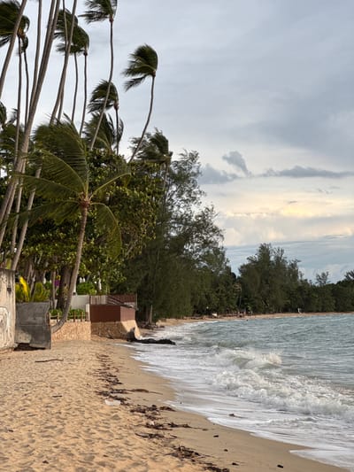 The image depicts a tropical beach scene, likely in Tong Yang, Thailand. Tall, slender palm trees line the left side of the frame, their fronds swaying in the wind against a cloudy sky. A sandy beach stretches along the bottom, with scattered debris such as driftwood and seaweed. A concrete wall with graffiti is visible on the far left, adjacent to a stone-and-wood structure elevated on stilts, possibly a small building or deck. The ocean is to the right, with gentle waves breaking on the shore. In the distance, more trees and structures are visible, with a few people scattered along the beach and in the water. The overall atmosphere is overcast, suggesting either early morning or late afternoon.