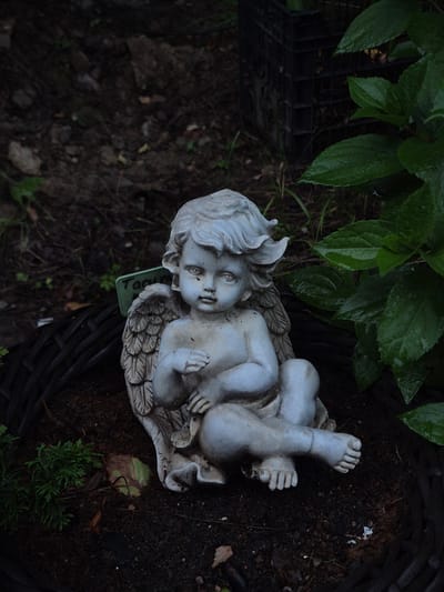 A weathered, white cherub statue sits nestled within a dark, woven basket planter filled with soil. The statue depicts a young, winged figure with curly hair, its body resting in a seated position with legs crossed. A small, faded green plant marker is visible behind the statue. The background consists of dark soil, scattered leaves, and lush green foliage from a nearby plant. A black plastic crate is partially visible in the upper right background. The scene appears to be outdoors, possibly in a garden. The location is Астра-1 Днт, Russia.