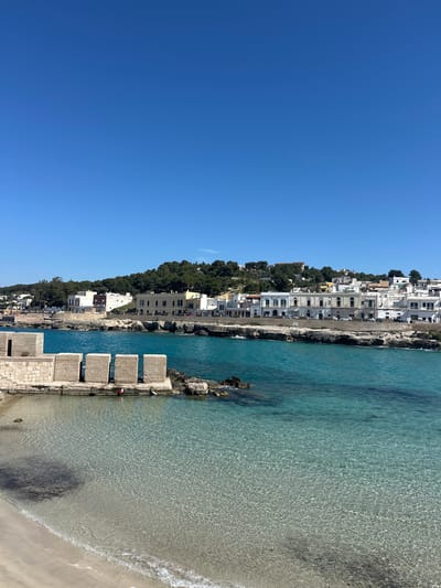 The image shows a coastal view of a town in Nardò, Italy, on a sunny day. The clear turquoise water of the Ionian Sea laps against a light sand beach and a stone wall. A series of square concrete blocks, possibly breakwaters, extend from the wall into the water. The town is built on a slight incline, with white and light-colored buildings visible, interspersed with trees. The sky is a clear, deep blue. There are no visible people in the frame.