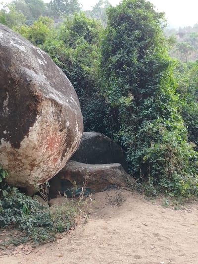 A cluster of massive, rounded boulders dominates the view. Lush, dense greenery with climbing vines blankets the background and right side, obscuring what lies beyond. A sandy path extends across the lower foreground, leading towards the rocks. Smaller plants and foliage grow at the base of the boulders and along the path's edge. The scene creates a sense of natural enclosure.