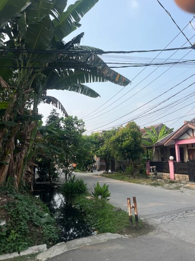 The image captures a residential street in Serdang Kulon, Indonesia, under a clear sky. On the left, a large banana tree with broad leaves dominates the foreground, its trunk showing fibrous bark. Next to it, a narrow, dark-colored drainage ditch runs along the roadside, filled with murky water and overgrown with various green plants, including some large-leafed varieties. The ditch is bordered by a concrete edge.
The street itself is paved with asphalt, showing some cracks and wear. To the right of the street, a black metal fence encloses a property. Beyond the fence, a house with a pink and light-colored facade is visible, featuring a traditional tiled roof. An outdoor air conditioning unit is mounted on the wall of the house. Further down the street, other houses and dense green foliage of trees are present. Overhead, a complex network of electrical wires crisscrosses the sky. In the distance, a person on a motorcycle is seen on the road. A rusted metal post, painted with alternating black and white stripes, stands near the edge of the road on the right. The overall scene suggests a typical day in a semi-urban or suburban environment in Indonesia.