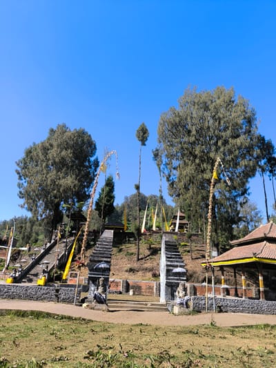 In the city of Ranupane, Indonesia, a spiritual site is captured under a clear blue sky. In the foreground, dry, sparse grass covers the ground. Two distinct sets of stone stairs ascend a hillside, flanked by decorative banners and flags. At the base of the right staircase, a weathered stone statue of a seated figure, draped in a patterned cloth, is present. Smaller ornamental umbrellas are placed near the statue and on the steps. Stone walls and the foundations of buildings are visible behind the stairs. Several traditional structures with tiled roofs and exposed wooden beams are nestled amongst dense trees on the hillside. Tall, slender trees with light green foliage stand prominently in the background, interspersed with other evergreen trees. The scene suggests a sacred or ceremonial location within a natural, somewhat arid environment.