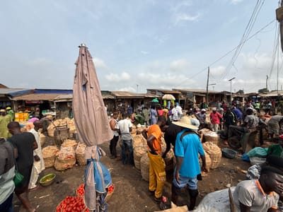 This image depicts a bustling open-air market scene in Ogere, Nigeria. The environment is characterized by an unpaved, uneven dirt ground with scattered debris, beneath a partly cloudy sky. In the background, numerous makeshift market stalls with corrugated metal roofs, some showing rust and wear, line the perimeter. Overhead, a tangle of electrical wires runs between utilitarian poles, one with what appears to be a solar panel fixture.
The foreground is dominated by a large, folded beige market umbrella, tied with a blue fabric, leaning prominently on the left. The midground and foreground are densely populated with woven baskets filled with agricultural produce. Distinct red tomatoes are visible in baskets closer to the viewer, while numerous other baskets contain light brown tubers, likely yams or potatoes.
Numerous individuals, predominantly men, are scattered throughout the market. They are dressed in casual attire including t-shirts, shirts, trousers, shorts, and some traditional robes. Several individuals wear hats, including straw hats and caps. Actions observed include people standing, walking, bending over baskets to inspect or sort produce, and engaging in general market activities such as buying or selling. One man in an orange shirt and yellow trousers is bent over a basket, while another in a blue shirt and straw hat stands nearby. A partially loaded handcart is visible amidst the produce in the midground. The overall scene conveys a high level of activity and commerce.