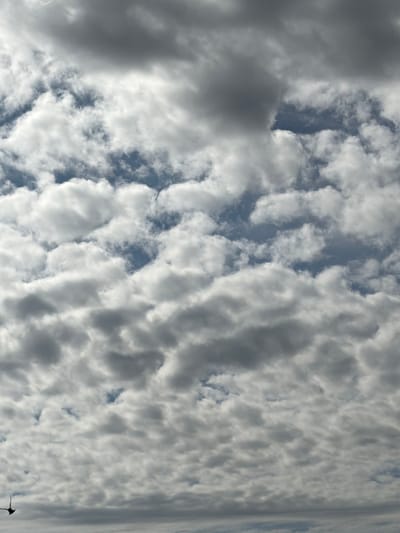 A vertical shot captures a dense, overcast sky filled with textured clouds. The clouds vary in shade from bright white where sunlight penetrates to dark gray in the denser formations, creating a sense of depth. Patches of blue sky are visible through thinner sections. In the lower left corner, a bird, possibly a swallow, is captured mid-flight with its wings outstretched, adding a dynamic element to the otherwise static sky. The image is devoid of any terrestrial features or urban elements, suggesting an aerial or high-altitude perspective focused solely on the atmospheric conditions above Satino-Russkoe, Russia.