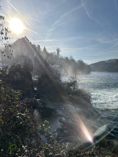 The scene depicts a wide view of the Rhine Falls (Rheinfall) and its immediate surroundings in Neuhausen am Rheinfall, Switzerland, under bright daylight conditions, likely during cold weather.
In the upper left quadrant, the sun is intensely bright, casting strong rays and creating a lens flare effect towards the lower right. The sky is clear blue with numerous white contrails from aircraft.
The primary subject is the powerful Rhine River, which flows from right to left across the middle and right side of the image, characterized by turbulent white rapids. A substantial amount of mist and spray rises from the waterfall, partially obscuring the landscape directly above the river. This mist is particularly dense around the midground.
On the left side, elevated on a rocky outcrop overlooking the falls, is Schloss Laufen (Laufen Castle), a historic fortified structure partially shrouded in the rising mist. Below the castle, and extending into the midground, is rugged terrain with steep, rocky banks and a mix of bare trees and frost-covered evergreen foliage. Some smaller, dark pools of water are visible among the rocks in the lower left.
The foreground consists of dark, leafless branches and some green, frost-dusted leaves. The vegetation along the riverbanks also appears frosted or snow-dusted, indicating low temperatures. No people are visible in the scene. The environment is characterized by a powerful natural waterfall, historical architecture, and winter or early spring vegetation under strong sunlight and atmospheric moisture.