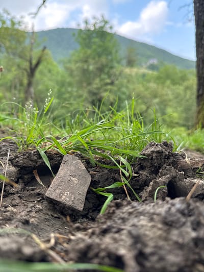 The image shows a close-up view of dark soil with blades of green grass emerging from it. A small, flat, greyish-brown object, possibly a piece of wood or stone, lies partially embedded in the soil in the foreground. In the background, a blurred landscape features lush green trees and a gently sloping hill under a cloudy sky. The scene depicts a natural outdoor environment.