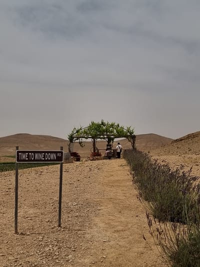 The image shows a street sign reading "TIME TO WINE DOWN RD" in a desert environment. The location appears to be near Mizpe Ramon, Israel, given the desert landscape, which includes rocky terrain and scrub vegetation. A wooden arbor with grapevines is situated near the sign, and an individual stands near a table beneath the arbor. The sky is overcast.