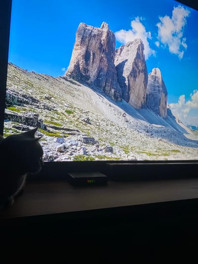 A cat is silhouetted against a television screen displaying a vibrant image of a mountain landscape. The screen shows steep, rugged mountains with patches of green vegetation clinging to their slopes, under a bright blue sky dotted with fluffy white clouds. The perspective is a dramatic upward view, emphasizing the scale and grandeur of the mountains. On the right side of the television screen, a small device is visible with a red digital display showing "0001". The cat is positioned in the lower right corner of the frame, facing the screen, its head and paws dimly illuminated by the television's glow. The overall scene is dimly lit, suggesting an indoor setting, likely a living room, where someone is watching a nature program or scenic display on their television. The image has a slightly tilted orientation.