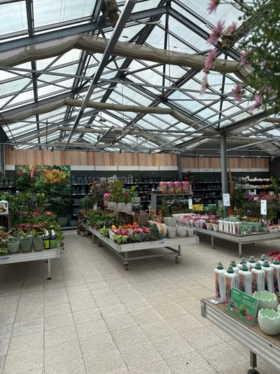 The image displays the interior of a commercial greenhouse or garden center located in Amstetten, Austria. The primary structural elements include a metal truss framework supporting a multi-paneled glass roof, through which an overcast sky is visible. Beige, accordion-style retractable shade cloths are partially extended beneath portions of the glass ceiling.
The floor is constructed from light-toned, square tiled pavers. The scene is devoid of individuals. Numerous plants are arranged on various metal display tables and shelving units. In the foreground, blurred pink flowering plants, consistent with chrysanthemums, are present on the right.
Mid-ground displays feature diverse potted plants, including foliage plants and various flowering species, contained within standard nursery pots, textured green pots, and white ceramic planters. A display table on the right contains multiple white bottles of liquid plant fertilizer, some labeled "Blumen Dünger" (Flower Fertilizer), "Hydrangea," and "Gerbera," alongside green, wavy-edged ceramic planters and informative signage.
In the background, wall-mounted shelving units exhibit rows of dark and grey pots and containers. Additional plant displays and gardening merchandise are visible on tables further back. Wooden paneling lines the upper sections of the interior walls, above the shelving. German signage is visible on the walls, identifying sections such as "GIESSEN" (Watering) and "GEFÄSSE" (Containers), and a yellow sign indicating "GUTE LAUNE GELB" (Good Mood Yellow).