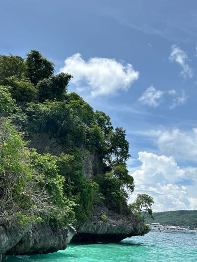 A sunny day view from a boat in the turquoise waters off the coast of Ko, Thailand, shows a lush, green, rocky cliff face jutting out into the sea. The cliff is heavily vegetated with dense foliage and trees. In the background, several white tourist boats, one with "SAWANU TRAVEL" visible on its side, are anchored or moving in the water. A tree grows precariously from the side of the cliff. The sky is a vibrant blue with scattered white clouds.