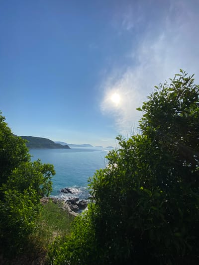 The image shows a coastal view from a high vantage point, likely in Cam Lam, Vietnam. Lush green trees frame the foreground on both the left and right sides. Beyond the trees, a vast expanse of turquoise ocean stretches to the horizon. In the distance, a series of green, rolling hills and islands are visible under a bright, clear blue sky. The sun is prominent in the upper right portion of the sky, casting a bright glare and creating scattered, wispy clouds. The shoreline features rocky outcrops where waves gently break. There are no people or animals visible in the scene. The environment is natural and serene, suggesting a scenic overlook or a trail leading to the coast.