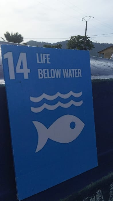 The image shows a blue sign with the number 14 in white, followed by the words "LIFE BELOW WATER" in white. Below the words is a white stylized wave pattern, and below that a white stylized fish. The sign is mounted on a blue surface, and in the background, there is a blurred view of vegetation. The sign is located in Limbe, Cameroon, at coordinates (latitude: 4.004, longitude: 9.21). The scene appears to be a public space. The sign is likely part of a larger informational display, possibly related to the environment or sustainability.