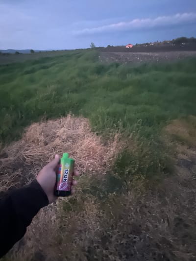 A person's hand, wearing a black long-sleeved garment, is holding a disposable vape pen labeled "120K". The background consists of a field with green and brown vegetation and a sky with blue and white hues, suggesting either dusk or dawn. There is no explicit information in the image to confirm the location as Nova Zagora, Bulgaria. The image does not depict any actions or interactions. The environment is a rural landscape.