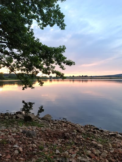 A photograph captures a tranquil lake scene at dusk, with a low-hanging tree branch in the foreground and a rocky shore. The sky displays a soft gradient of pink and blue hues, reflecting on the calm water. Distant trees and rolling hills form the horizon line. The foreground is characterized by a rugged, rocky embankment with scattered green vegetation. The overall atmosphere is serene and peaceful, suggesting a natural setting in or around Kestřany, Czechia.