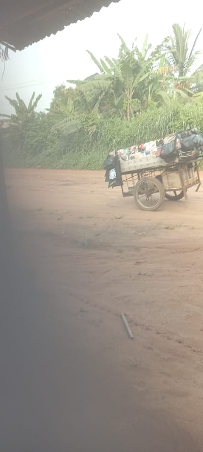 In Amauzu, Nigeria, a two-wheeled cart laden with various items, including bags and what appears to be merchandise, is positioned on a dirt road. The background features lush greenery, with banana trees and other vegetation. In the foreground, a piece of debris or a stick lies on the ground. The image is taken from an elevated perspective, and a partial view of a structure's roof is visible in the upper left corner. The overall environment appears rural.