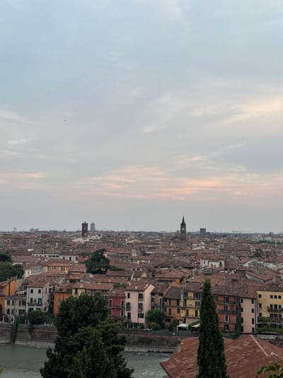 This is an aerial photograph of Verona, Italy, likely taken at dusk. The image showcases a dense urban landscape characterized by terracotta-tiled rooftops and buildings of varying architectural styles and colors, predominantly ochre, pink, and cream. Two prominent church towers with pointed spires and a squarer, more robust tower punctuate the cityscape. A river, likely the Adige, flows along the bottom left of the frame, with a stone embankment bordering the buildings. Verdant trees are scattered throughout the city, with a particularly large, dark green tree in the foreground. The sky above is a hazy mix of pale blues and soft pinks, suggesting the fading light of sunset or dawn, with a few distant birds visible. The overall impression is one of a historic European city.
