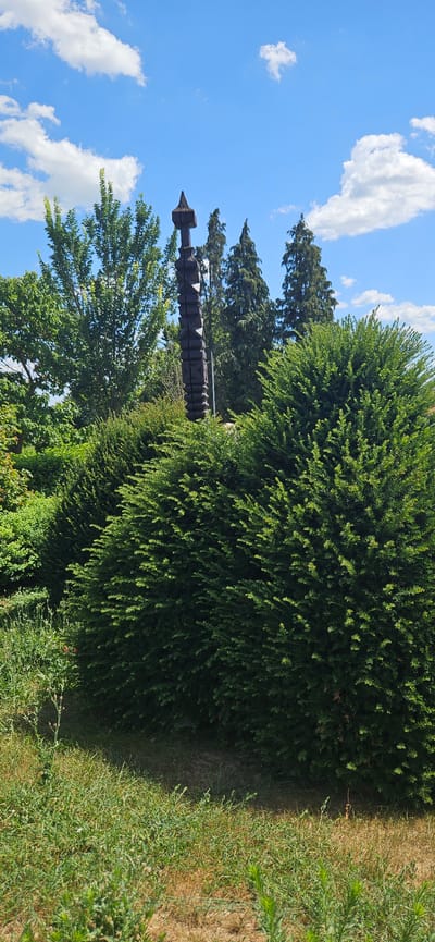 The image captures an outdoor scene with lush greenery and a clear blue sky with scattered white clouds. In the foreground, dense evergreen bushes dominate the lower half of the frame, with dry grass and weeds in the bottom left corner. Behind the bushes, a tall, dark wooden sculpture stands prominently. The sculpture is abstract and appears to be made of stacked, carved wooden blocks, tapering towards the top with a pointed finial. Several tall, conical evergreen trees are visible behind the sculpture. The environment suggests a park, garden, or a natural outdoor space within the city of Cserszegtomaj, Hungary.