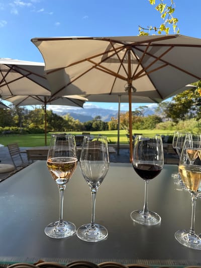 The image depicts a table at a wine tasting location in Stellenbosch, South Africa. Several wine glasses, containing red, white, and rosé wines, are placed on the surface. Outside, umbrellas provide shade from the sun, and the landscape features trees and mountains in the distance.