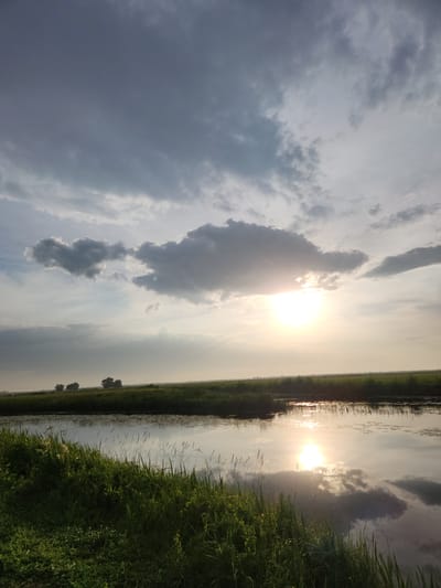 The image depicts a serene landscape at sunset in the city of Atameken, Kazakhstan. A calm body of water, likely a lake or river, occupies the lower portion of the frame, reflecting the dramatic sky. The water's surface is dotted with water lilies. On the left, a grassy embankment is visible, with tall blades of grass in the foreground catching the golden light. In the distance, a flat expanse of green fields stretches towards the horizon, with a cluster of trees silhouetted against the sky. The sky itself is a canvas of shifting clouds, with the setting sun breaking through, casting a warm, diffused glow. The overall impression is one of tranquility and natural beauty at the end of the day.