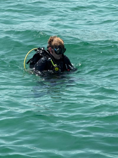 An overhead shot captures a single diver floating on the surface of calm, light blue-green water. The diver has light brown hair and is equipped with black scuba gear, including a mask covering their eyes and nose, and a black wetsuit or drysuit paired with a black Buoyancy Control Device (BCD). A distinctive yellow hose, likely a component of the diving equipment, is visible extending from the BCD.

The water's surface is marked by gentle ripples and small waves, indicating a tranquil open water environment under bright, natural daylight. The diver's head and shoulders are above the waterline, while the lower portion of their body is submerged. This posture suggests the diver is either preparing to descend for a dive, resting on the surface, or has just completed a dive.

The image is brightly lit, implying a sunny day. No specific geographical features are visible within the frame, but the provided context places the scene in Frankston, Australia. A small yellow tag with an unreadable black logo or text is attached to the BCD near where the yellow hose connects. The scene portrays a serene moment of a diver in the water, awaiting or performing an activity.