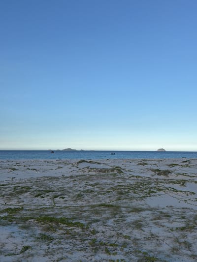 The image shows a serene beach scene in Bac Cam Ranh Ward, Vietnam. The foreground is dominated by sand dunes with sparse vegetation, creating a textured and somewhat rugged landscape. The sand is light in color, and low-lying green plants are scattered across the dunes. In the middle ground, a calm, blue ocean stretches to the horizon, meeting a clear, expansive blue sky. Several small islands or landmasses are visible in the distance along the horizon line. A few small boats are also present on the water, suggesting a peaceful, possibly early morning or late afternoon setting. The overall impression is one of tranquility and natural beauty.