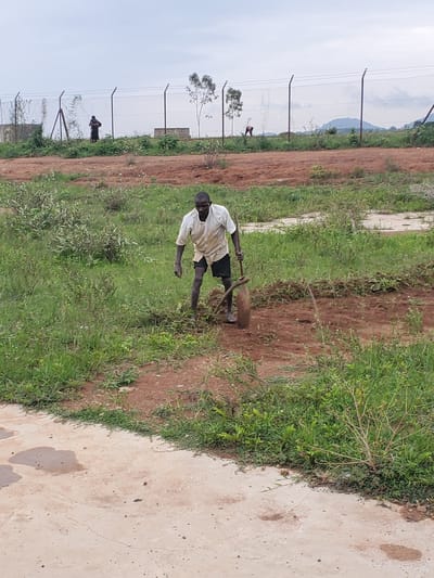 The image shows a man with dark skin, wearing a light-colored, short-sleeved shirt and dark shorts. He is standing in an outdoor area with reddish-brown dirt and green grass. He is holding a tool that appears to be a hoe or a similar digging implement, with a long handle and a curved head. The man is positioned slightly to the right of the center of the frame, facing left and looking downwards, as if engaged in some sort of manual labor or digging. In the background, there is a chain-link fence with metal posts, and beyond that, a hazy landscape with trees and hills under an overcast sky. There are also other figures visible in the distance near the fence, too indistinct to identify clearly. The foreground shows a cracked concrete surface. The overall impression is that of a rural or semi-rural setting, possibly an agricultural area or a construction site, in Pankshin, Nigeria.