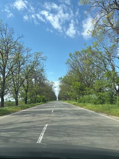 The image depicts an asphalt road stretching into the distance, flanked by trees with green foliage on both sides. The sky is blue with scattered white clouds. A white line marks the center of the road. Shadows from the trees fall across the road surface. The scene appears to be a rural road. The location is Pishurka, Bulgaria. There are no people visible in the image.
