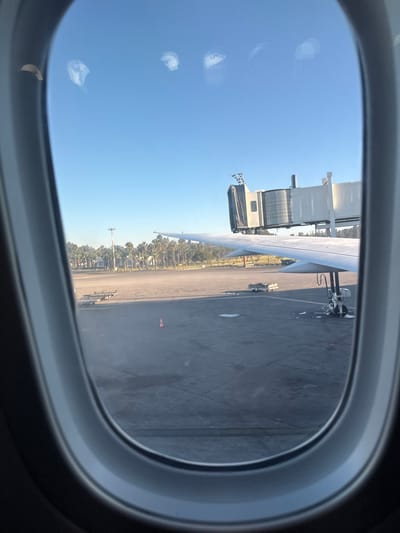 This image displays an airport tarmac scene viewed from inside an aircraft through an elliptical window, located at Mohammed V International Airport (CMN) in Nouaceur, Morocco. The gray aircraft window frame is prominent in the immediate foreground. A white airplane wing is visible in the mid-right, extending horizontally into the frame. Attached to the aircraft, and positioned above the wing, is a multi-sectional passenger boarding bridge, predominantly white and grey.

The tarmac, a dark grey asphalt surface, occupies the lower and central portions of the scene. Visible on the tarmac are white painted line markings, an orange conical traffic marker, and several metallic luggage dollies positioned further back. In the background, a dense line of green palm trees spans horizontally. A tall utility pole is observed among the trees. The sky above is clear and blue, with no clouds.

No individuals are visible within the frame. The scene is illuminated by bright daylight, casting defined shadows on the tarmac and ground objects, consistent with a morning or late afternoon sun. No active interactions or movements are depicted.