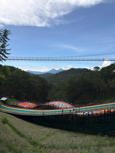 The image depicts a vibrant, multi-colored slide structure set against a backdrop of lush green pine forests and distant mountains. The slide, adorned with a rainbow spectrum of colors, snakes its way across the landscape, bordered by what appear to be repurposed tires. Several individuals are visible on and around the slide, suggesting it is an active recreational area. Above the slide and forest canopy, a suspension bridge stretches across the frame, with a few people walking on it. The sky is a clear blue, with scattered white clouds and wispy cirrus formations. The foreground features a gently sloping grassy area, possibly a meadow, with tall, dry grasses. The overall impression is of a scenic tourist attraction in a natural, hilly environment. The location is likely a park or resort in Lam Vien - Da Lat, Vietnam, known for its picturesque landscapes and outdoor activities.