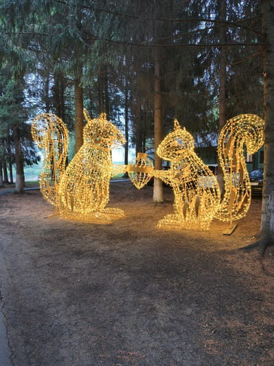 Two large, illuminated squirrel sculptures made of wire and lights are displayed outdoors in a wooded area. The squirrels are gold in color and appear to be sharing a golden acorn. They are positioned facing each other on a ground covered with dirt and pine needles, with tall evergreen trees forming a backdrop. The lighting suggests it is either dusk or dawn, with the sky appearing a pale blue. The sculptures are the focal point of the image, creating a whimsical and festive atmosphere. In the background, glimpses of parked cars and a building can be seen, indicating a populated area. One of the cars has a license plate with Cyrillic characters that appears to read "55 PY 70". The overall scene is peaceful and enchanting.