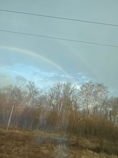 The image shows a landscape in Moskovka, Russia. A rainbow arches across the sky behind bare trees and tall, dry grass. Two power lines run vertically on the left side of the frame. The sky is overcast.