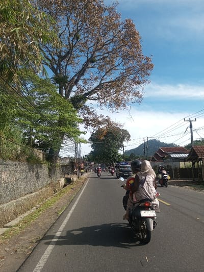 The image captures a daylight scene on a paved road in Phonengam, Laos. The foreground features the rear view of a gray scooter-style motorcycle with license plate F 4720 FKA. The motorcycle carries three individuals: a driver wearing a dark helmet, a passenger in a light-colored patterned head covering and dress, and a child secured in a brightly colored (red, yellow, blue) carrier seat positioned in front of the passenger. A distinct shadow of the motorcycle is cast on the asphalt road, which has a solid white line on the right edge and a partial broken white line further left.

To the left of the road, a low stone wall is visible, topped by dense green foliage. A narrow dirt strip and a shallow concrete drainage channel separate the road from the wall. Overhead, a large tree with primarily brown, possibly autumn-colored, leaves dominates the left side, alongside other trees with green foliage. Power lines and utility poles are visible on both sides of the road further down.

The midground shows a procession of other motorcycles and a dark-colored truck with a blue roof rack moving away from the viewer on the same road. In the background, residential structures with tiled roofs are visible on the right side of the road, against a backdrop of distant, vegetated mountains or hills. The sky is bright blue with scattered white clouds, indicating clear weather.