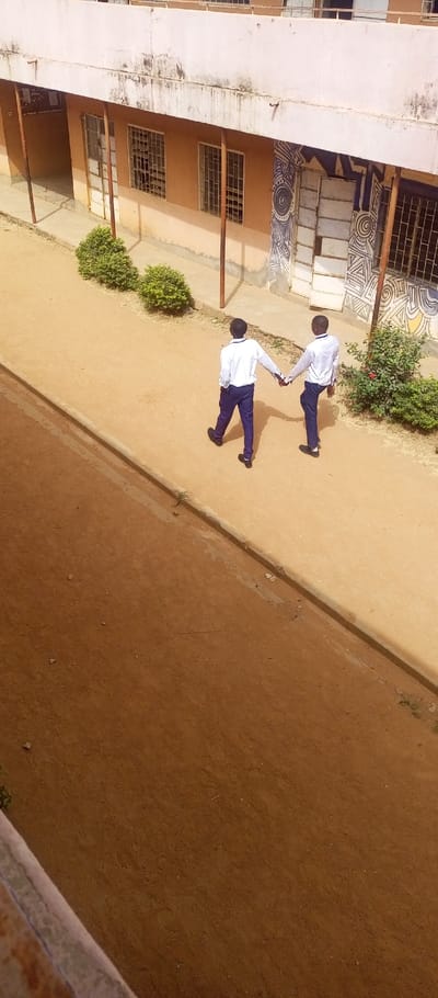 Two individuals are observed walking along a reddish-brown dirt path in Barnawa, Nigeria. They are positioned in the mid-ground, moving from the right side of the frame towards the left. Both wear identical attire: white long-sleeved shirts, dark blue trousers, and dark shoes, indicative of a uniform. They are holding hands, with the individual on the left holding the right hand of the individual on the right.

In the background, a single-story building with a light-colored facade (peach/beige) and a flat roof extends horizontally across the frame. A covered walkway, supported by thin, dark poles, runs along the building's length. The building features multiple windows fitted with security grates. A section of the building's wall, particularly around an entrance on the right, is adorned with intricate geometric patterns in blue and white. Small, green, bushy plants are spaced along the base of the building, separating it from the dirt path. A narrow, lighter-colored concrete strip runs between the plants and the dirt path. The scene is illuminated by strong sunlight, casting shadows. The image is captured from an elevated perspective, looking down on the scene.