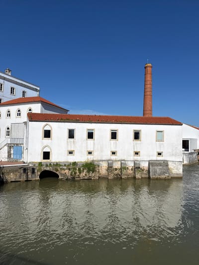 The scene depicts a multi-sectional building complex situated on the Nabão River in Tomar, Portugal, under a clear blue sky. The primary structure is a white-walled building with a terracotta-tiled roof, featuring a tall, slender, red brick industrial chimney rising prominently from its right side. The building's façade, directly above the water, displays a row of five rectangular windows on an upper level and four smaller square windows below them. To the left, an arched window opening is visible at water level. Further left, another white-walled section with a terracotta roof features multiple arched windows and an external white staircase leading to a landing with a blue double door. The building's foundation is composed of stone and concrete, directly entering the olive-green water. An arched culvert is present at water level on the left. Patches of green vegetation adhere to the lower walls of the structure. The water surface shows ripples and reflects the building and sky. No individuals or discernible activities are present.