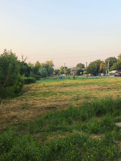 In Maximovca, Moldova, an outdoor scene depicts a rural or semi-rural setting during daylight hours. The foreground is dominated by a grassy field with patches of dry, mown grass. To the left, dense green foliage and trees form a natural boundary. In the middle ground, a children's playground with a swing set and climbing frame is visible in a grassy area. Beyond the playground, a road runs horizontally across the image, with several houses and trees lining its opposite side. Pedestrian crossing signs with yellow triangles are placed near the road. A few vehicles are parked along the road or are in motion. Overhead power lines traverse the sky, which transitions from a pale blue at the top to a warmer, lighter hue near the horizon. The overall impression is one of a quiet, rural community on a clear day.