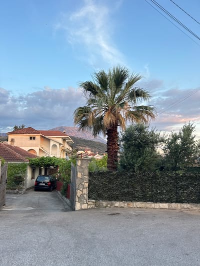 The image shows a residential street in Burtaiši, Montenegro. In the foreground, a paved road leads to a driveway with a black car parked on it. A gate with stone pillars and a decorative metal archway is visible on the right side of the driveway. A tall palm tree stands prominently in the middle ground, with lush green bushes and trees behind it. In the background, several houses with red-tiled roofs are nestled against a backdrop of rolling hills and mountains under a partially cloudy sky. The lighting suggests it is late afternoon or early evening, with soft sunlight illuminating the scene.