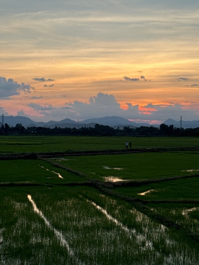 This is a vertical, eye-level medium shot of a rice paddy field at dusk in Tan Dinh, Vietnam. The sky is filled with bands of orange and yellow from the setting sun, with scattered clouds. In the foreground, the flooded rice paddies are a dark green, reflecting the sky. Two figures, one in a white shirt and the other in a dark shirt, stand on a dirt path separating two sections of the paddy. In the background, there are distant mountains and trees, with a few utility poles. The overall mood is tranquil.