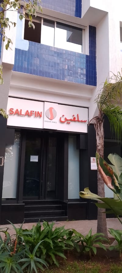 A low-angle shot captures a building with "SALAFIN GROUPE BMCE" signage. The sign is positioned above a dark-framed glass entrance with stairs. The building's upper section features blue tiled accents. Plants, including aloe and palm, frame the bottom and right side of the shot, adding greenery. A tree with sparse leaves is visible on the left. The overall scene is brightly lit.