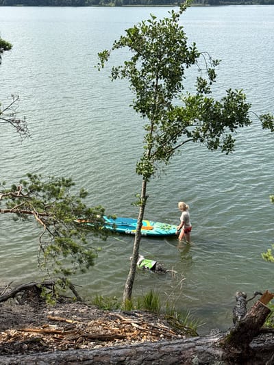 A woman is standing in shallow water next to a paddleboard on a lake. A dog wearing a green life vest is swimming in the water to the left of the paddleboard. The lake is calm and green with a forest visible on the far shore. The foreground shows a rocky, wooded embankment with fallen logs and branches. The scene appears to be located in Priladozhskoe, Russia.