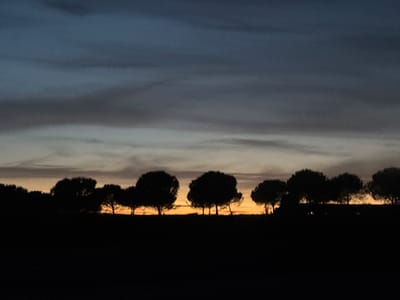 A silhouette of trees is visible against a twilight sky. The sky displays hues of dark blue, gray, and orange, indicative of a sunset or sunrise. The trees are dark and indistinct, appearing to be a line of deciduous trees with rounded canopies. The ground in the foreground is also silhouetted and appears dark, suggesting it is either nighttime or heavily shadowed. The scene is peaceful and natural. The photograph appears to have been taken in Santarém, Portugal.