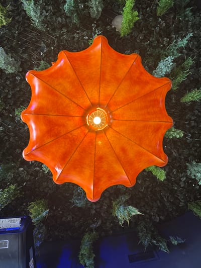 An overhead, close-up, wide-angle shot depicts an orange, star-shaped lampshade with a lightbulb at its center, suspended from a ceiling covered in artificial greenery. The lampshade has a textured, slightly translucent surface, with visible ribs radiating from the center. The surrounding ceiling is a dense arrangement of dark green artificial foliage, with some lighter green artificial ferns interspersed. In the lower left corner, a black electrical appliance with a control panel is visible, and the background below transitions to a dark blue surface. The scene is located in Campillo Del Moro, Spain.